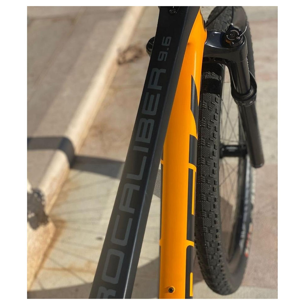 Trek Procaliber 9.6 tg XL